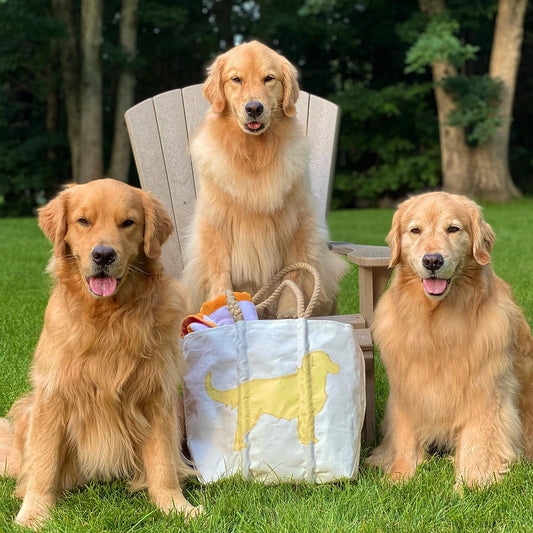 Three loyal Golden Retrievers sit on grass in front of a wooden chair, with the Sea Bags Golden Retriever Medium Tote Clasp and Hanging Pocket displayed between them. Trees are visible in the background. by Sea Bags