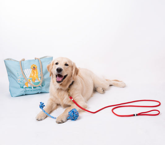 A golden retriever lies on a white background with a red leash, a yellow Floating Rope Dog Toy by Fetch ME handmade in Maine, and a blue tote bag featuring a cartoon dog. by Sea Bags