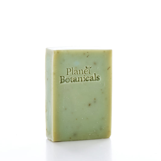 A rectangular green bar of Planet Botanicals Seaweed Bar Soap stands upright on a white background, featuring the brand’s name embossed on its surface and highlighting its natural Maine seaweed ingredients.