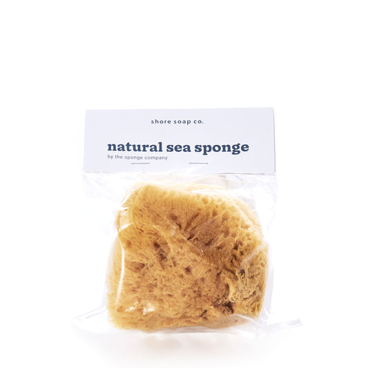The Shore Soap Co Natural Sea Sponge, valued for its antibacterial properties and eco-friendly bathing benefits, comes in a clear plastic bag with a white label displaying Natural Sea Sponge and the Shore Soap Co brand. by Sea Bags