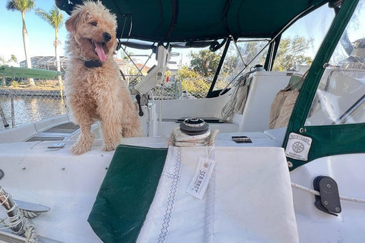 Sail Trade Story Heidi Gadbois