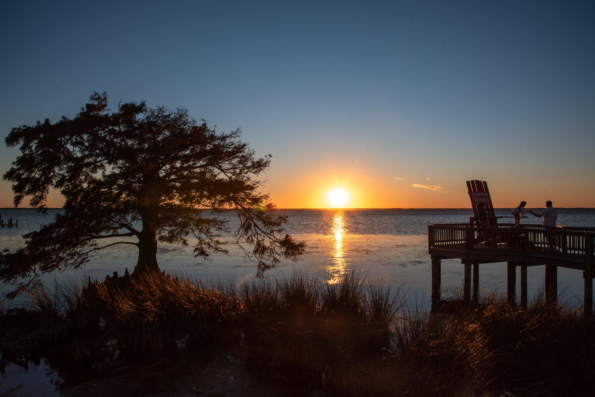carolina coastal sunset with tree and dock