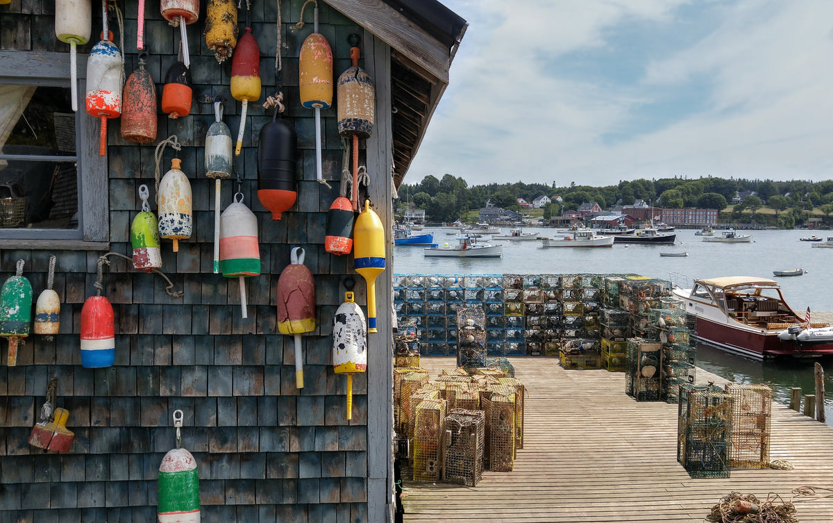 Lobster Bake Collection