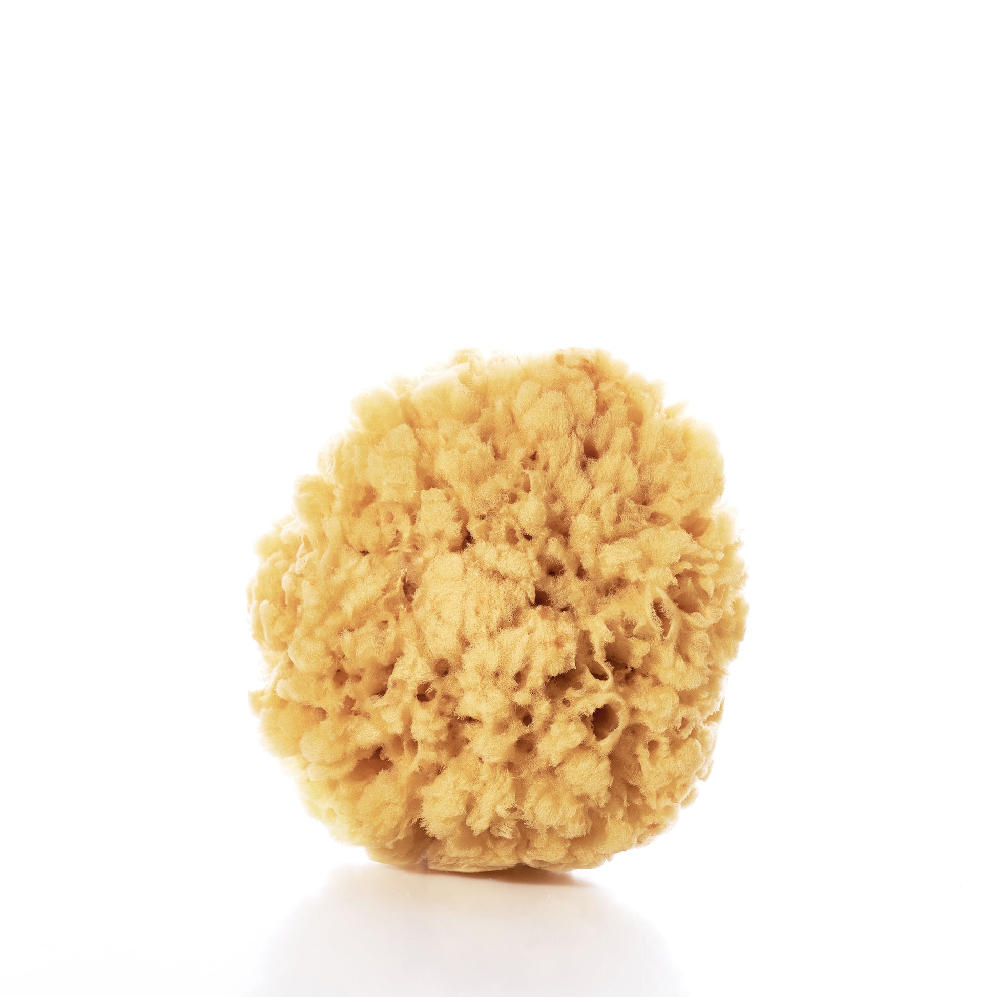 The Shore Soap Co Natural Sea Sponge is a round, tan-colored sea sponge with a porous texture—celebrated for its antibacterial properties and perfect for eco-friendly bathing—shown isolated against a white background. by Sea Bags