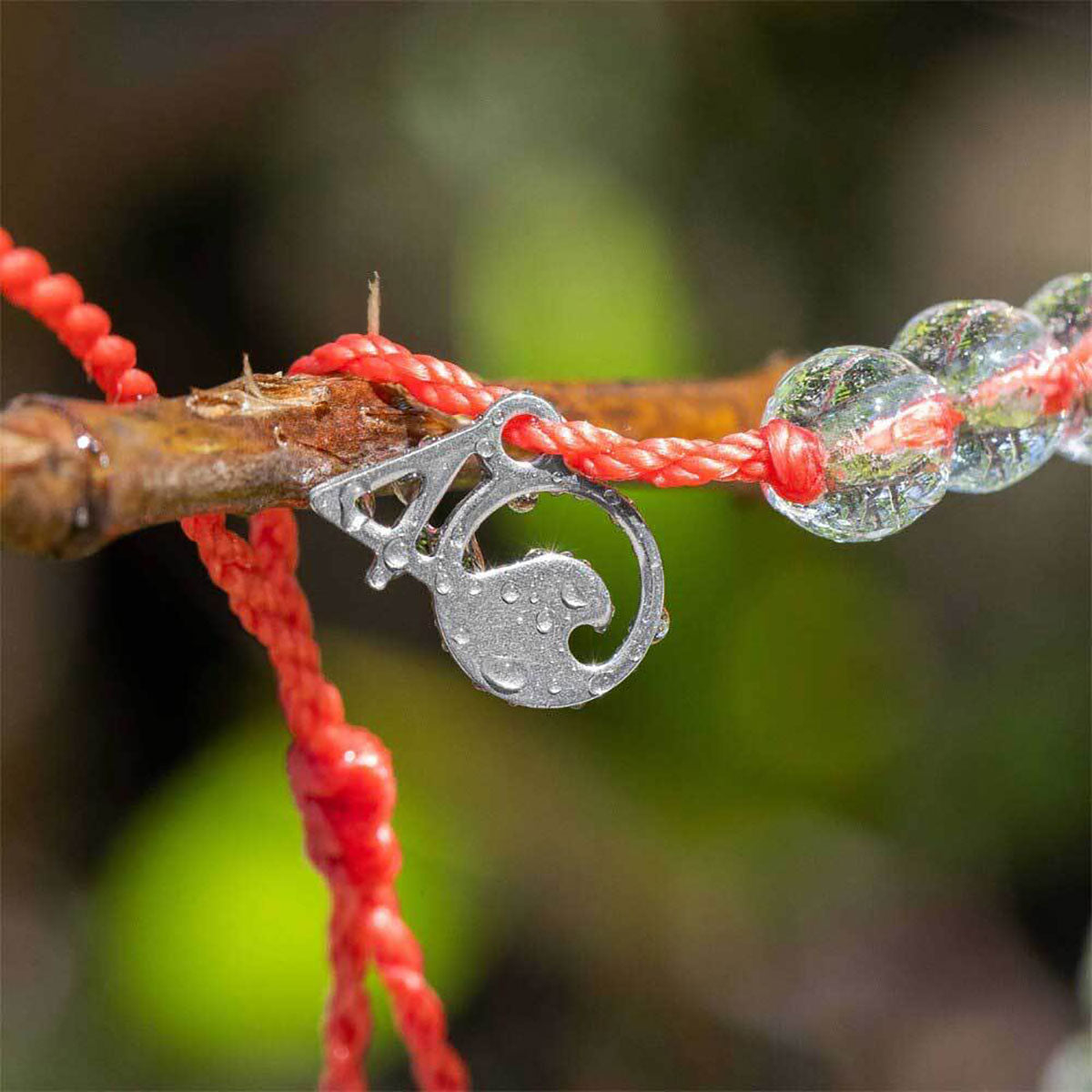 A 4ocean Beaded Bracelet - Coral Reef by 4ocean, featuring a red braided string with a silver wave charm and clear beads, is tied around a branch adorned with water droplets. by Sea Bags